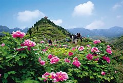 渝万高铁即将开通 一沿途风景美哭了