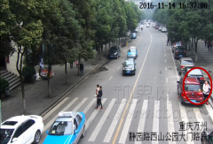 男子倒车时打手机 刚下车乘客被压车轮