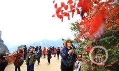 巫山“天路”：在陡坡中盘旋，云雾中穿梭