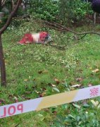 突发：涪陵一女子从23楼坠下 警方介入调查