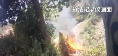 重庆一女子遭马蜂围攻 当场昏迷人事不省
