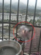 夫妇在家看电视 窗户突然“砰”地一声被打穿