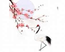 男子婚外恋被骗光积蓄：算命婆说我有三次正桃花