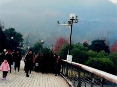 木桥上降霜 老人送娃途中打滑摔断腿