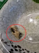 饭店里的菜里有“蟑螂” 店家解释说是辣椒皮
