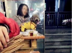 女子在串串店用餐 竟将宠物狗放在椅子上