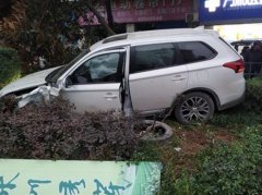 SUV“飞”进路边花丛中 网友：这车技绝了