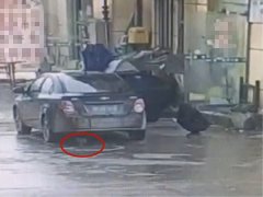 奇葩！男子吃完小面还顺走店内宠物猫