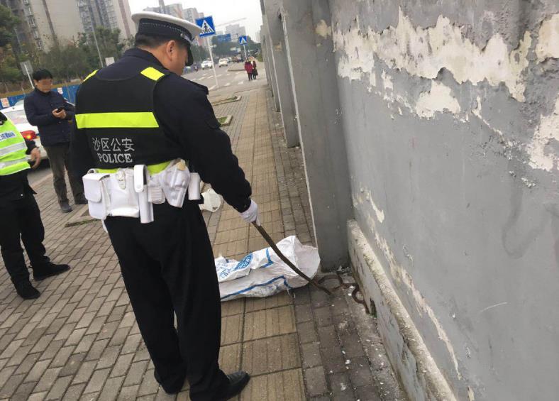 2米长毒蛇爬行在人行道上  吓坏路人