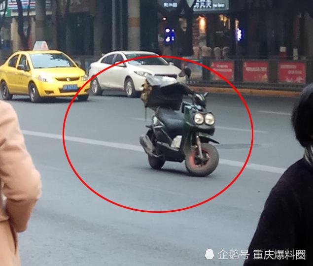 外卖小哥电动车停出“新高度”