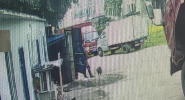 假装遛狗实为盗窃 花溪俩小偷专偷电瓶