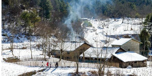 这里不是东北！重庆城口乡村雪景美如画