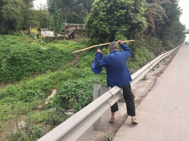 老人横穿高速路受惊吓 扑在车头索要赔偿