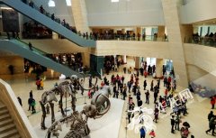 重庆自然博物馆新馆一年迎客300余万人次 正申报国家4A级景区