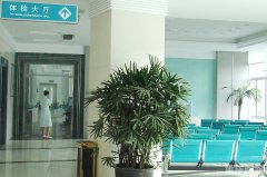 “十三五”规划：重庆开展网络医院试点