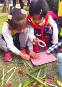 一片树叶能做啥？ 渝北学子用它“画”出最美冬景