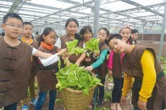 学烘焙陶艺体验无土栽培 渝北学子社会实践活动欢乐多