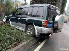 猫狗蹿上路 司机避让不及冲上绿化带