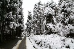 本周末重庆逐步转晴升温 最高回升至16℃左右