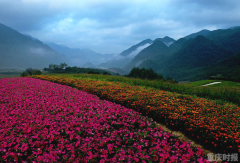 后年重庆试行生态环境损害赔偿制度 4类情形将被追责