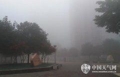 ​重庆​连续两日浓雾天气 致使渝武高速​重庆​段全线封闭