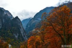 严重破坏生态环境资源 重庆规定领导干部将终身追责