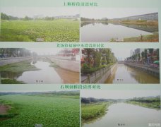 告别黑臭水体 江津大溪河水环境综合整治工程全面完成