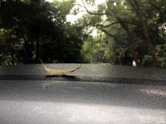 今年重庆入冬最早的地方比往年提前了19天！