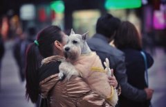 未来三天全市阴间小雨 冬季取暖安全切忌马虎大意