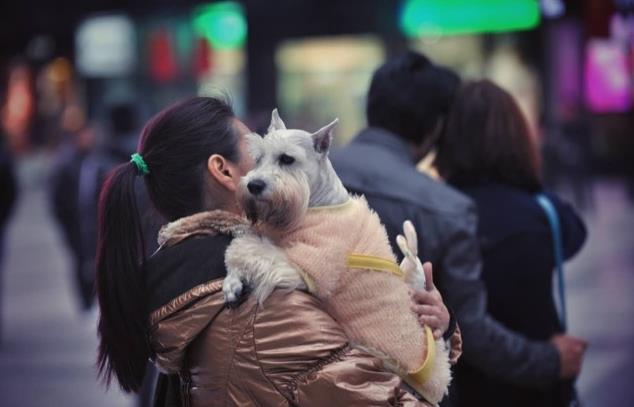 1481345986232125.jpg 612598551019214193.jpg