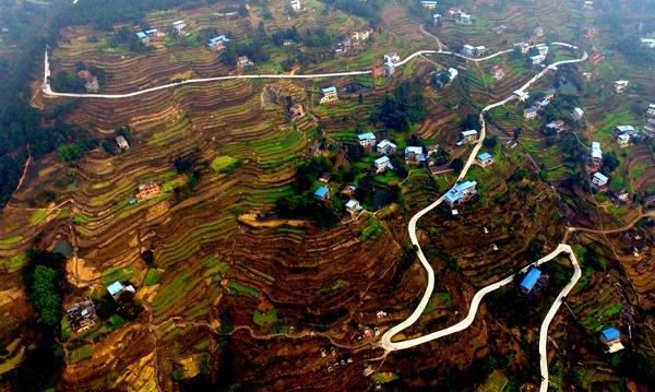 1481386012568982.jpg 1.jpg