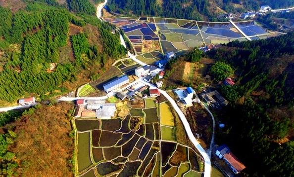 1481386075156656.jpg 1.jpg