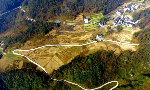 1481386138225502.jpg 1.jpg