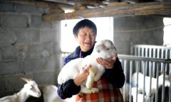 旅游路”和“产业路”带村民走上致富路