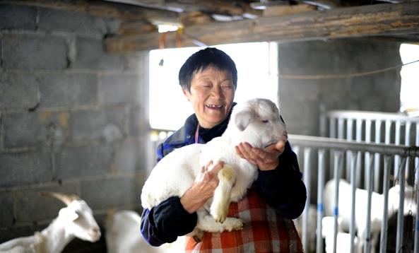 1481434513193884.jpg 3.jpg