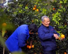 到村民门口的路把财富也带到了家门口