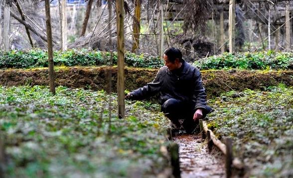 1481600564428715.jpg 15.jpg