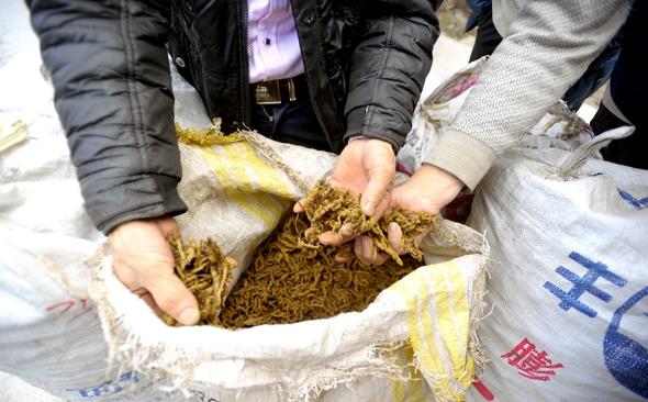 1481600573538995.jpg 16.jpg