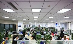 重庆打造西部最大猎头集聚区 外资可独资进入人力资源行业