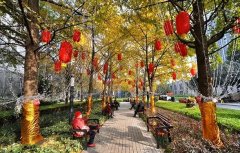 【一图一文】冬日阳光