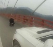 高速路上求婚表真心  结果被扣6分罚款200元