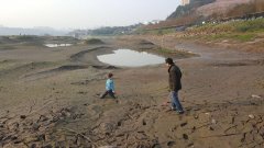 地里“长出”了小孩？ 巴滨路江边游玩需小心哟！