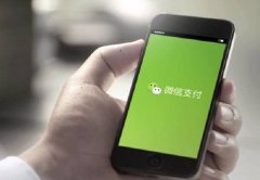 “熊孩子”网购 刷脱妈妈6000多