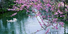  后天转阴！“假春天”终于要结束了