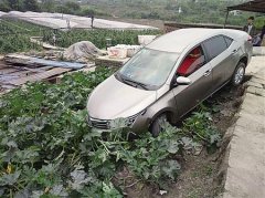 避让来车一头栽进庄稼地 又要修车又赔庄稼