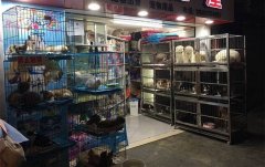 重庆一宠物店老板与狗主人闹纠纷 如果是你你怎么办？