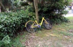 重庆璧山一小黄车惨遭“分尸”