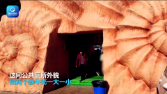 女子外出游玩偶遇“巨型蜗牛” 呆萌建筑竟是公厕