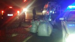 17袋饲料高速路上掉落 两路过司机争抢还报警
