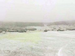 仙女山迎降雪天 这个周末“赶雪”去